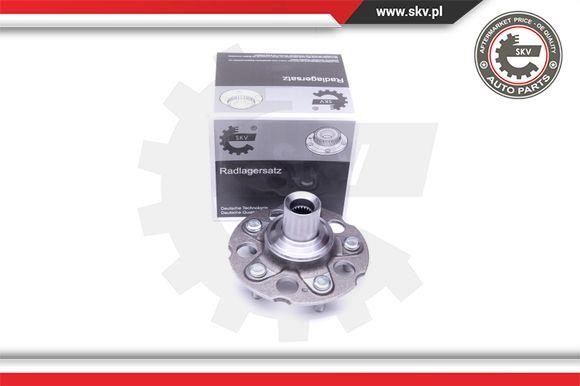 Esen SKV 29SKV311 Wheel bearing kit 29SKV311