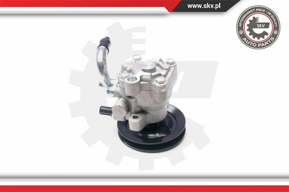 Hydraulic Pump, steering system Esen SKV 10SKV202