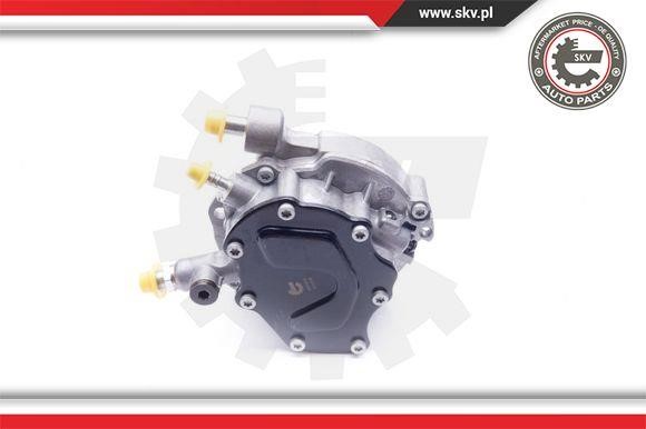 Vacuum Pump Esen SKV 18SKV018
