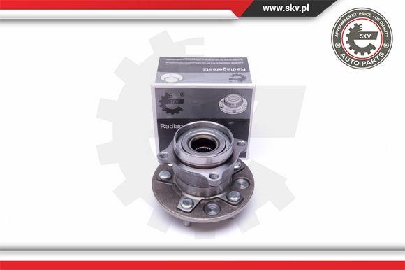 Esen SKV 29SKV421 Wheel bearing kit 29SKV421