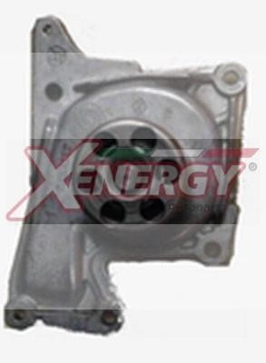 Xenergy X206632 Water pump X206632