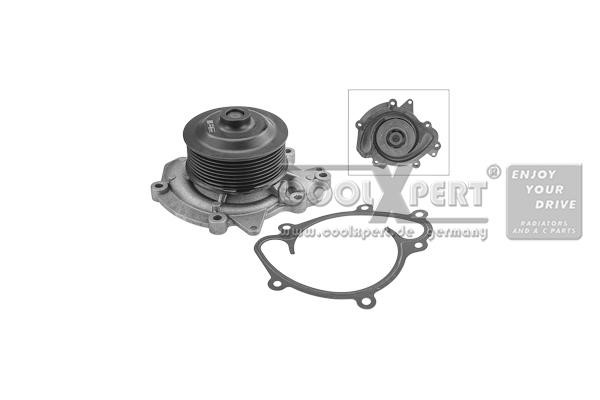 BBR Automotive 001-10-17310 Water pump 0011017310