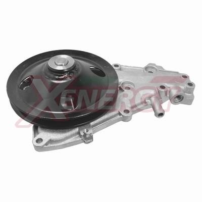 Xenergy X201320 Water pump X201320