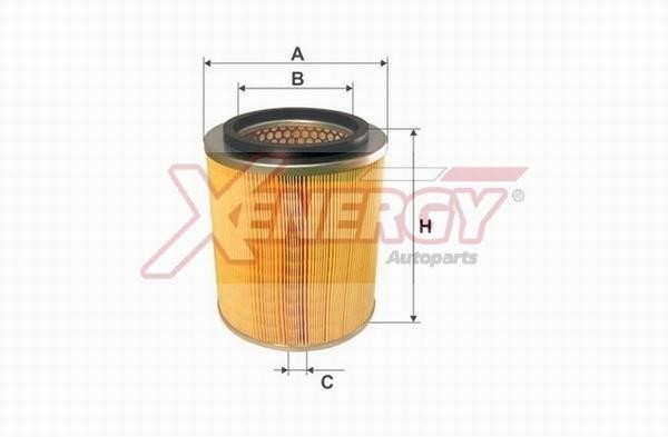 Xenergy X1594123 Air filter X1594123