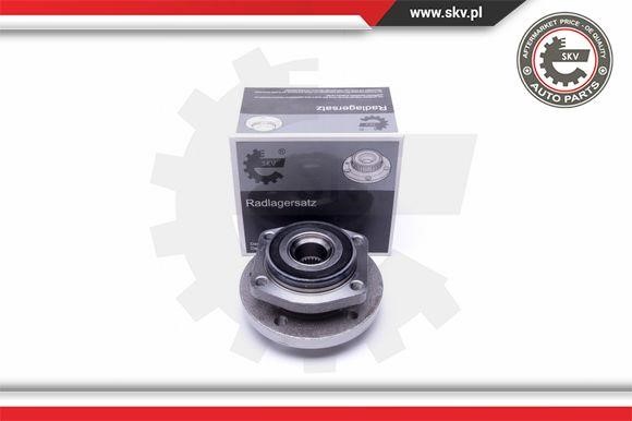 Esen SKV 29SKV411 Wheel bearing kit 29SKV411