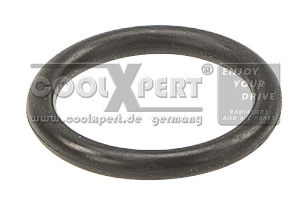 BBR Automotive 001-10-24369 Seal Ring, coolant tube 0011024369