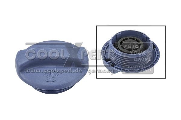 BBR Automotive 001-10-26104 Cap, coolant tank 0011026104