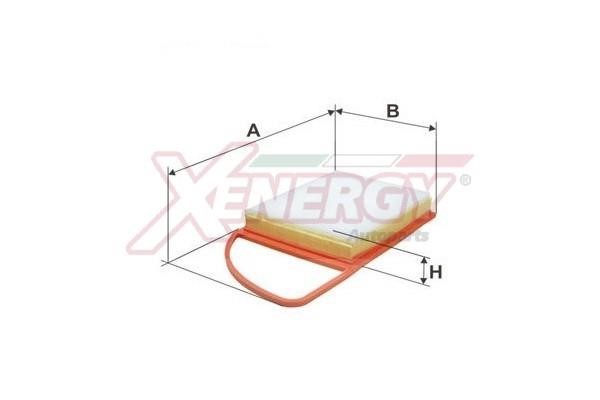 Xenergy X1521916 Air filter X1521916