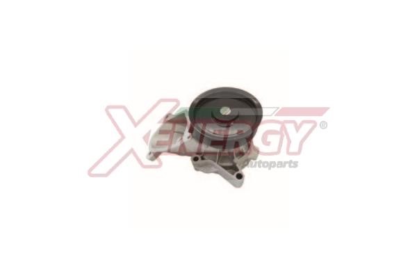 Xenergy X208079 Water pump X208079