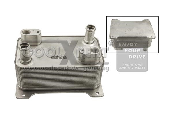 BBR Automotive 001-10-21432 Oil Cooler, engine oil 0011021432