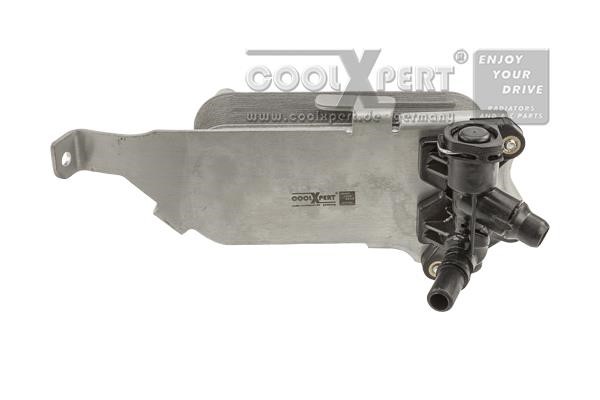 BBR Automotive 001-10-22951 Oil Cooler, automatic transmission 0011022951