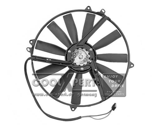 BBR Automotive 0016000525 Fan, radiator 0016000525