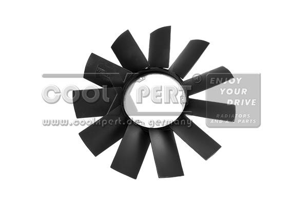 BBR Automotive 0036000143 Fan impeller 0036000143