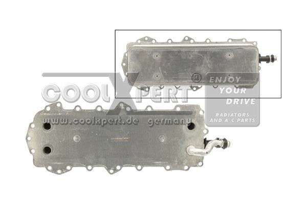 BBR Automotive 001-10-25003 Oil Cooler, engine oil 0011025003
