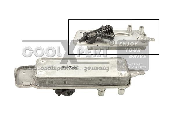 BBR Automotive 001-10-24035 Oil Cooler, automatic transmission 0011024035