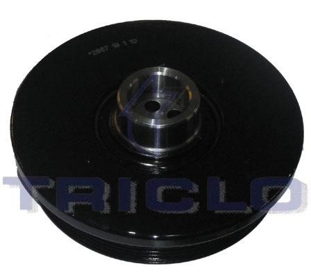 Triclo 422776 Belt Pulley, crankshaft 422776