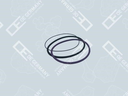 OE Germany 03 0111 100000 O-Ring Set, cylinder sleeve 030111100000