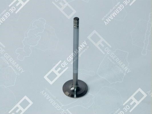 060520XF9500 OE Germany Intake valve
