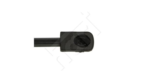 Tailgate strut Hart 813 748