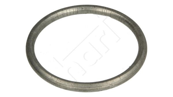 Hart 702 770 O-ring exhaust system 702770