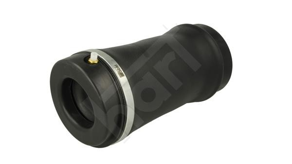 813022 Hart Air Spring, suspension