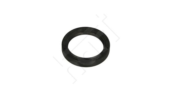 Hart 711 704 Shaft Seal, differential 711704