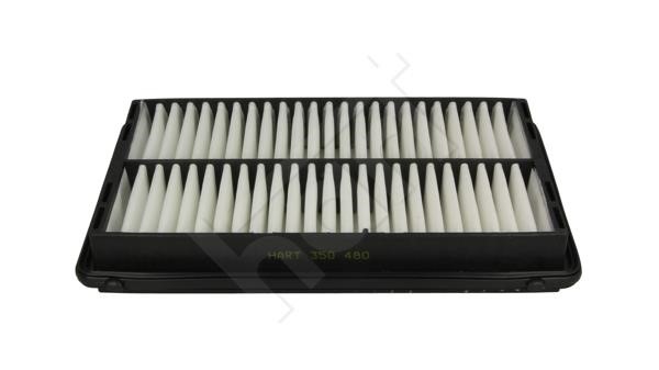 Hart 350 480 Air filter 350480 350480 Hart Air filter