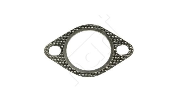 Hart 704 623 Exhaust pipe gasket 704623