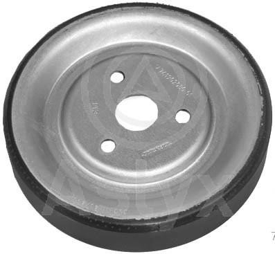 Aslyx AS-506287 Coolant pump pulley AS506287