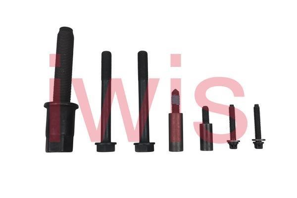 Timing chain kit IWIS Motorsysteme 59002SET