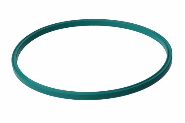 22672293 Uro Fuel pump gasket