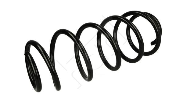 Hart 461 839 Coil Spring 461839