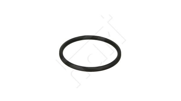Hart 921 608 Seal Ring, charger 921608