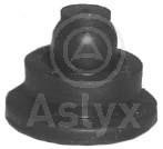 Aslyx AS-506550 Engine cover AS506550