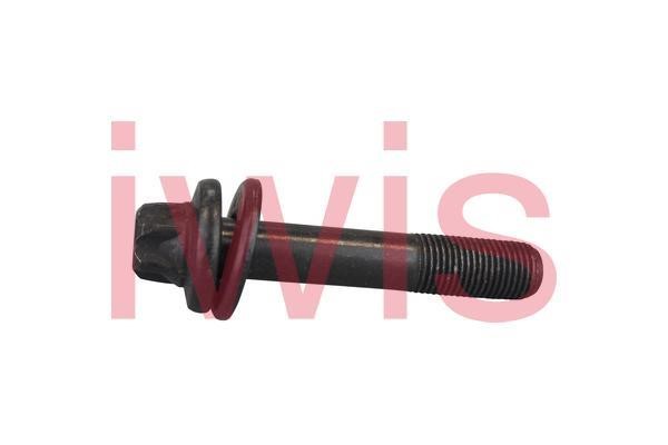 IWIS Motorsysteme 60196 Screw, camshaft gear 60196