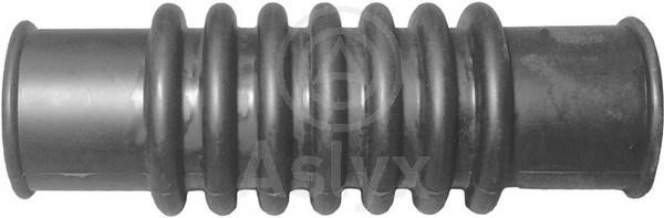 Aslyx AS-105417 Radiator hose AS105417