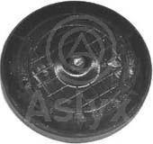 Aslyx AS-506227 Plug, rocker arm shaft mounting bore AS506227