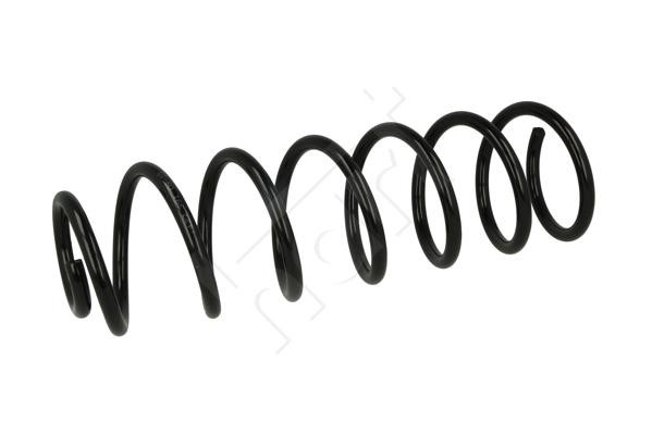 Hart 427 391 Coil Spring 427391