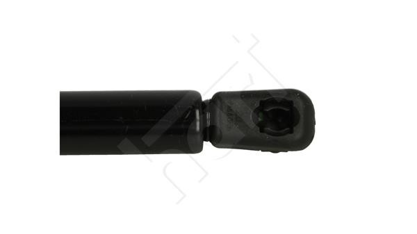 Tailgate strut Hart 810 391