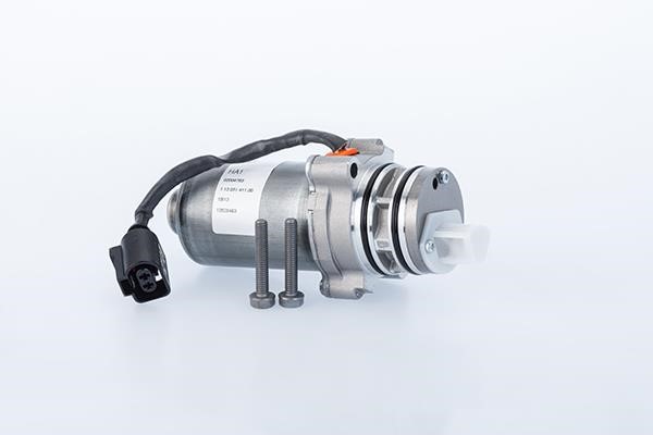 DS119088 BorgWarner (AWD) Pump, all-wheel-drive coupling