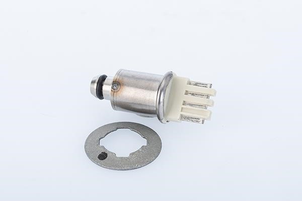 Buy BorgWarner (AWD) DS120526 at a low price in United Arab Emirates!