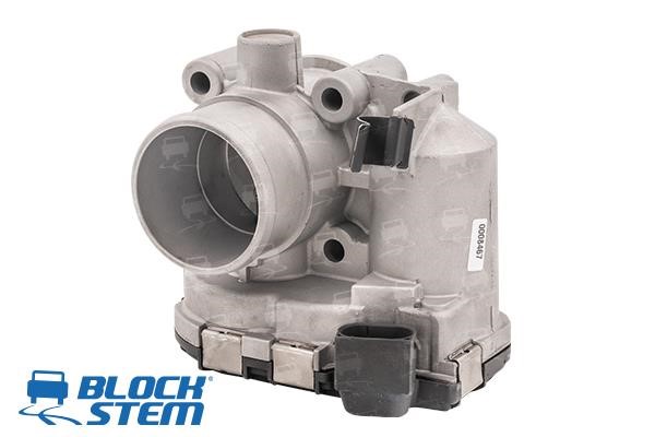 Block Stem CFR0005 Throttle body CFR0005