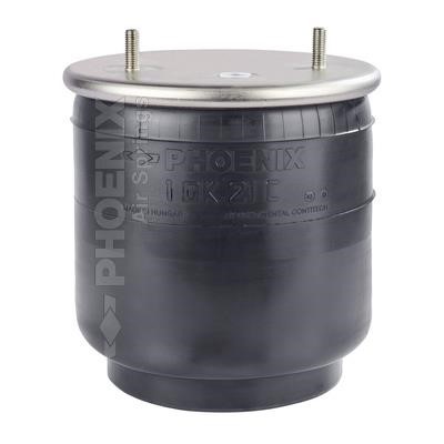 1DK21C4 Phoenix Air bag