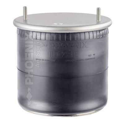 1D28E1 Phoenix Air spring
