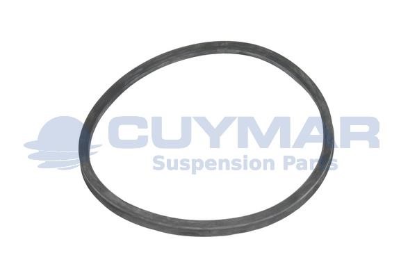 Cuymar 3410105 Seal Ring, steering knuckle (spring bracket) 3410105
