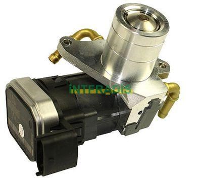 Intfradis 2556 EGR Valve 2556