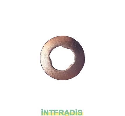 Intfradis 10184 Seal Ring, nozzle holder 10184