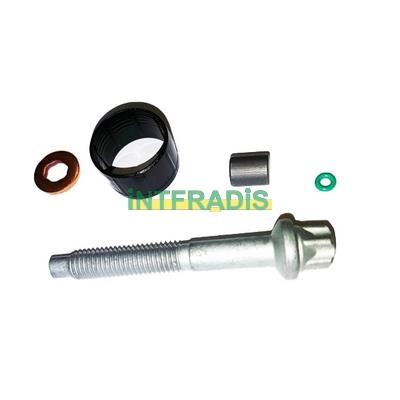 Intfradis 10127CO Seal Kit, injector nozzle 10127CO