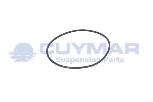 Cuymar 3403108 Seal Ring, steering knuckle 3403108