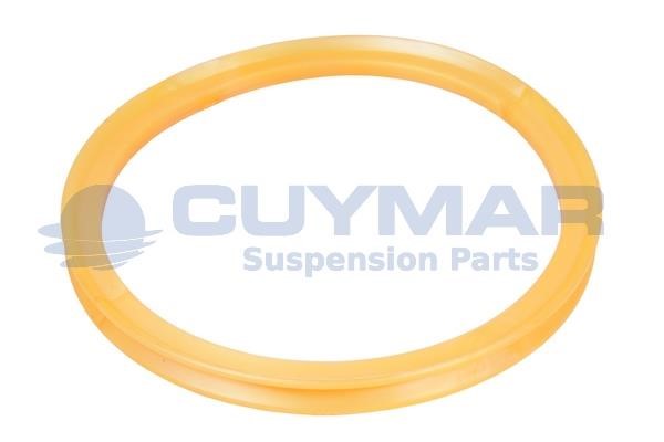 Cuymar 3438099 Shaft Seal, wheel hub 3438099